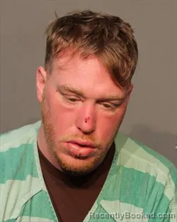 Mugshot of MICHAEL DILLON HENRY booked in Polk County, Iowa on March 11, 2026