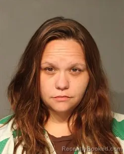 Mugshot of HEATHER DAWN COLLINS booked in Polk County, Iowa on July 14, 2026