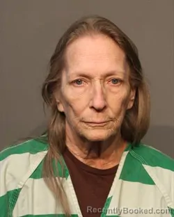 Mugshot of CYNTHIA LEE OLINGER
