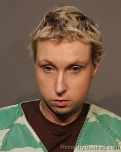 Mugshot of ASHLEY MARIE ALLISON