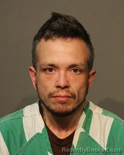 Mugshot of NICHOLAS BRADFORD LOVAN