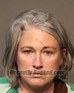 Booking photo from Polk County, Iowa