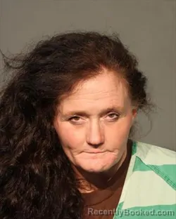Mugshot of JOLENE RENEE DEVIN booked in Polk County, Iowa on May 14, 2026