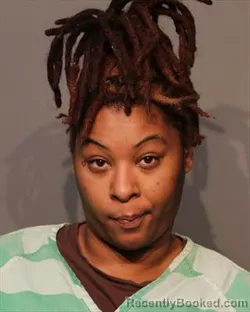 Booking photo from Polk County, Iowa