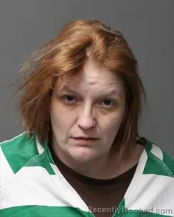 Mugshot of SUSAN DIANE LOGAN booked in Polk County, Iowa on March 9, 2026