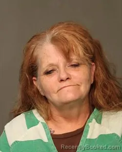 Mugshot of DEBORAH ANN WILSON booked in Polk County, Iowa on July 12, 2026