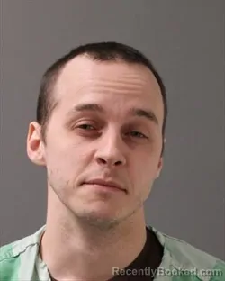 Mugshot of JACKSON DEVON WALSH