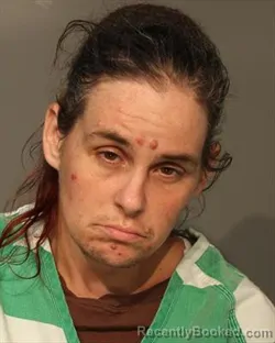 Mugshot of RACHEL MARIE STANLEY booked in Polk County, Iowa on July 13, 2026