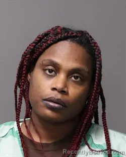 Booking photo from Polk County, Iowa