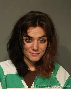 Mugshot of Ruthann Mechelle Wiggins booked in Polk County, Iowa on August 15, 2026