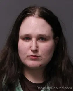 Mugshot of BOBBIE JO JOHNSON