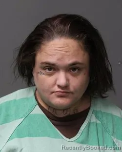 Mugshot of SAMANTHA DOLORES IRVING booked in Polk County, Iowa on July 15, 2026