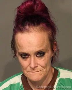 Mugshot of CLAUDIA SUE VANBLARICUM booked in Polk County, Iowa on June 27, 2026