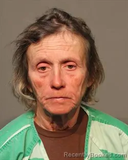 Mugshot of MELINDA KAY GILMORE booked in Polk County, Iowa on March 14, 2026