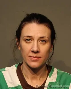 Booking photo from Polk County, Iowa