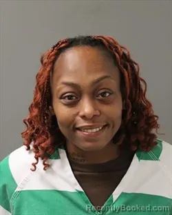 Mugshot of DAZAUNDRA DENISE CHATWOOD booked in Polk County, Iowa on July 14, 2026