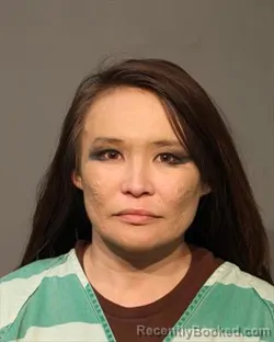 Mugshot of DYANA DUSYA HILL booked in Polk County, Iowa on July 6, 2026