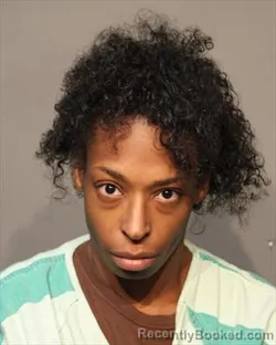 Mugshot of KATHRYN ELIZABETH VANHORN