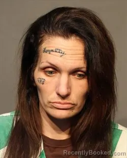 Mugshot of ASHLEY SUE DUNN