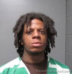 Mugshot of REESE JAMES BRADLEY