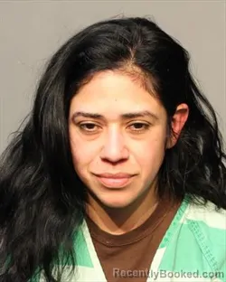 Mugshot of DANNA VIANEY CHAVEZ PERALTA