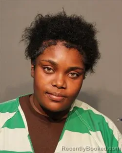 Mugshot of SHAMYA LEESHAI HAYES booked in Polk County, Iowa on March 18, 2026