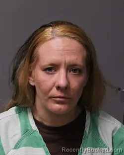 Mugshot of AMANDA LYNN STURTZ