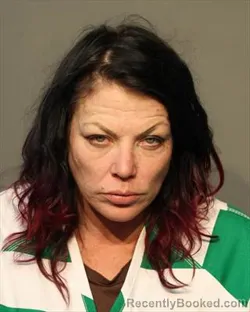 Mugshot of ADRIANNA ELAINE MITCHELL