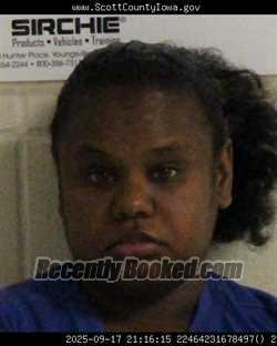 Mugshot of DENISE MESHELL COOK