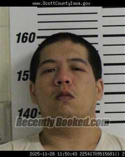 Mugshot of ANH PHA NOGC TRAN