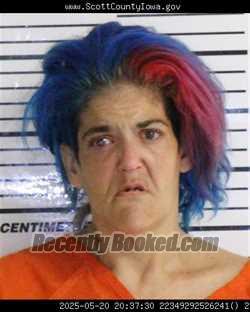 Mugshot of ANNA THERESA NELSON