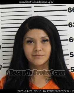 Mugshot of KIMBERLY EVE TORRES