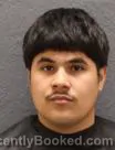 Mugshot of JOSE ISMAEL TORRES