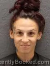 Mugshot of KRISTINA ANN ROSENBERG booked in Oconee County, South Carolina on July 2, 2026