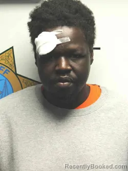 Mugshot of Mamuch Diw Guin