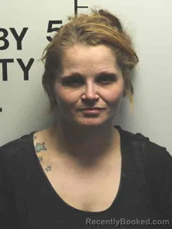Mugshot of TAMARA LEIGH DRYER booked in Shelby County, Iowa on May 23, 2026