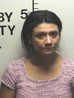 Mugshot of TERA DAWN REYES booked in Shelby County, Iowa on March 27, 2026