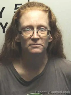 Mugshot of DAWN MICHELLE THEISEN booked in Shelby County, Iowa on April 16, 2026