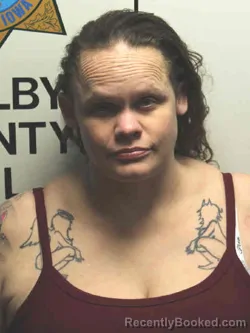 Mugshot of SHANNON MICHELLE LEE MINK PRICE booked in Shelby County, Iowa on March 29, 2026