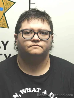 Mugshot of BRIANNA JANE STOUT