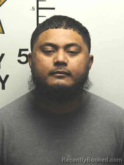 Mugshot of MJ WILLIAM booked in Shelby County, Iowa on March 25, 2026