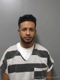 Mugshot of RUANDY REYNERI AVILA-RAMIREZ