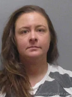 Mugshot of MEGHANN DEANNA STANLEY