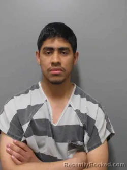 Mugshot of TOMMY LEE ARAICA