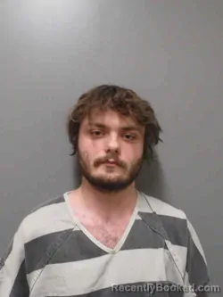 Mugshot of BRENDON SCOTT HARRISON