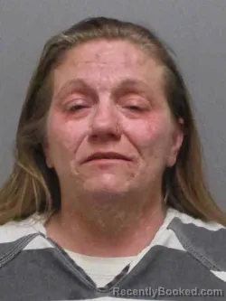 Mugshot of LORRAINE DIANNE ROBINSON booked in Sioux County, Iowa on March 28, 2026