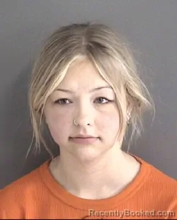 Mugshot of ANNA MARIE DEBRUIN booked in Story County, Iowa on March 29, 2026