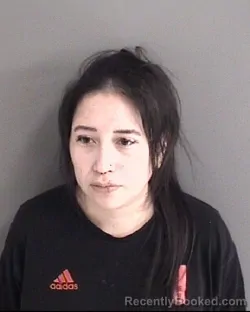 Mugshot of Ashley Faye Littlewhiteman booked in Story County, Iowa on October 24, 2026
