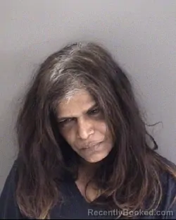 Mugshot of ANJALI MELISSA RICHARDS booked in Story County, Iowa on April 24, 2026