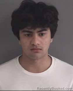 Mugshot of ANAY NIRAV SHAH booked in Story County, Iowa on March 29, 2026